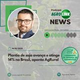 Santa Catarina projeta alta de 7% na produção de cebola