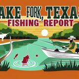 Fall Fishing Forecast for Lake Fork - Topwaters, Crankbaits, and Abundant Catfish