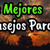 Los Mejores Consejos De Vida Para Ti ¦ Gratitud, Frases, Reflexiones, Agradecimiento, Reflexión