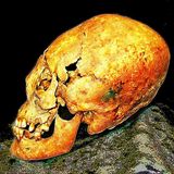 Rob McConnell Interviews - MARK A CARPENTER - Anthropologist, Explorer and Author