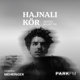Mehringer: Gyerekkorom óta érzem, hogy egyszer Pici bácsival fogok zenélni | Park FM – Hajnali Kör
