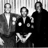 Modern Combat Masters presents Sanuces Ryu Ju Jutsu Seminars