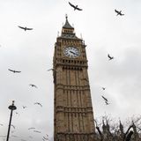 Parliament is to be suspended