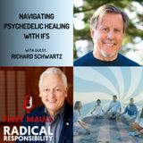 EP 181: Navigating Psychedelic Healing with IFS | Richard Schwartz, PhD