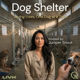 Dog Shelter - The Overcrowding Crisis No One Wants to Talk About