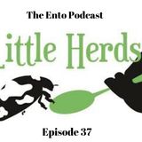 Episode 37 - The Ento Podcast