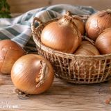 Come conservare le cipolle