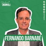 Como a agronomia apoia o produtor rural no campo? #450