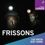 Frissons 1/7 : Le grand frisson
