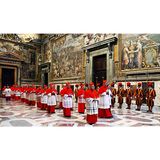 I cardinali in conclave morti di malaria e di paura