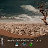 NUESTRO OXÍGENO Día mundial contra la desertificación y la sequia