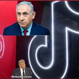 Tik Tok ( M2-Algorithm SKETCH BOTS?!)