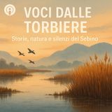 Torbiere del Sebino: il lato selvaggio della Lombardia