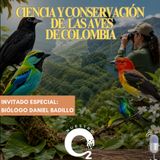 NUESTRO OXÍGENO Sonora - Ciencia y Conservación De Las Aves De Colombia
