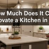 How Much Does It Cost to Renovate a Kitchen in Delhi  Complete Guide 2025