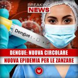 Dengue, Nuova Circolare: Nuova Epidemia Per Le Zanzare?