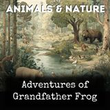 Adventures of Grandfather Frog - Thornton W Burgess
