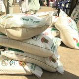 La Semaine sur Kalangou : temps forts de l’actualité et focus sur l’accès des femmes à la terre