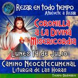 CORONILLA A LA DIVINA MISERICORDIA DE HOY. LUNES 14 DE JULIO 2025. 🙏  REZAR EN TODO TIEMPO.                                   
