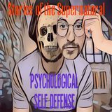 Psychological Self Defense | Interview with Stefan Verstappen | Podcast