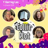 Colli'r Plot Eisteddfod Y Garreg Las