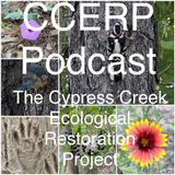 1 CCERP Podcast Intro Show