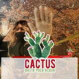 Cactus #29 - Nutrire lo sguardo - 15/04/2021