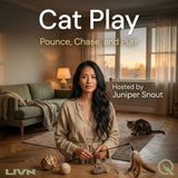 Cat Play - From Kitten Chaos to Senior Swats: Play Across a Lifetime