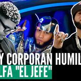_Luinny CorporÁN Humilla A El Alfa _El Jefe_ En Plena Entrevista