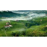 Le Colline Trevigiane del Prosecco in tre itinerari