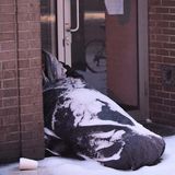 'Unprecedented' Demand For Aid To Boston Homeless During Cold Snap