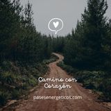 Camino Con Corazón: Conectando con el Mundo a Través de la Conciencia