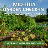 🎧 ✅ 🌱 Mid-July Garden Check-In: What’s Thriving and What’s Not 🌿 | Honest Allotment Update 🎧