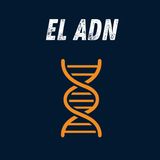 🧬 ADN | Temporada 2 #10