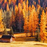 La sinfonia cromatica dell’autunno italiano
