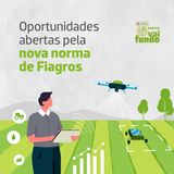 Oportunidades abertas pela nova norma de fiagros.