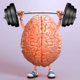 Il Cervello