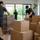 Removalists Northern Beaches Discuss Local Moving Challenges and Smart Planning
