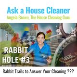 Ask a House Cleaner Rabbit Hole 3 | Rapid Fire Answers to Your House Cleaning Questions