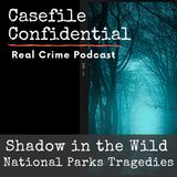 Mysterious Disappearances: Chilling Secrets into the Wild