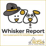 Whisker Report - Episode 1 Pet Publicity is Just a Whisker Away – Welcome to the Whisker Report!