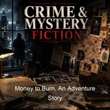 Money to Burn An Adventure Story - Reginald Wright Kauffman