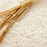 ¿De dónde procede el arroz que compramos en España?