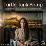 Turtle Tank Setup - The Great Divide: Land vs. Water Ratio