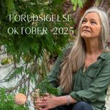 Forudsigelse oktober - nyt kan manifesteres, højnende energi og mulighed for at ændre vaner ✨