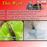 Radio 2SM Breakfast Segment #21 with Kaye Browne