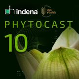 Phytocast 10: Product Innovation