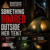 Something Roared Outside Her Tent in DAR State Forest