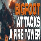 Bigfoot Attacked a Fire Tower