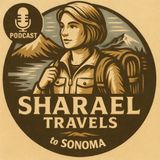 Ep. 13 | Sonoma County, CA: Wine Tasting, Redwoods, Wellness